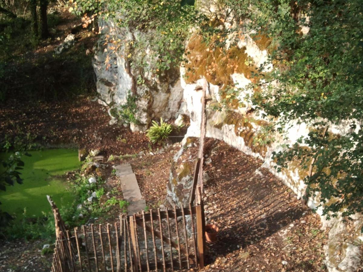 Nuits Perchees A Laroque Bed & Breakfast Saint-Antoine-de-Breuilh Exterior foto